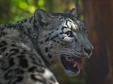 IMG_5443-SP