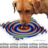 QUANTUM SCHLOPPING