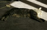 IMG_20210928_123357