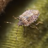 IMG_9915-SP