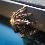 IMG_8906-SP