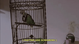 screaming-farting-3008057283
