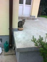 Photo0006