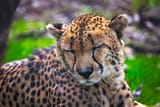 IMG_5137-SP