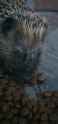 1749712796327_thumb.jpg