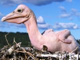 7053