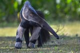images - 2025-06-12T143825.043