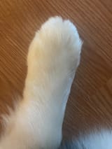 98320