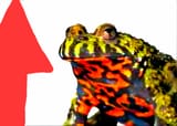 1749764726502539