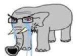 elephantjak