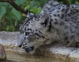 IMG_8395-SP