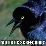 autgrack