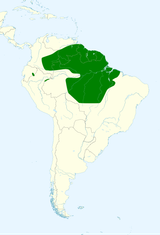 Red-Fan Parrot Map