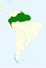 Black-Headed Parrot Map