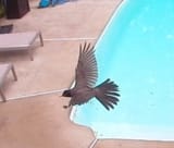 IMG_20250616_182953