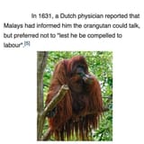 1750171025719726