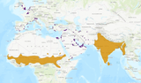 Rose-ringedParakeetMap-1024x603