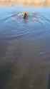 20240105_153049_12_thumb.jpg