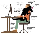 dox designed for sex