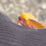 A4457643-0A64-4FE8-9A39-03902CEC15DB