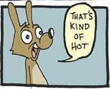 that&#039;s kind of hot