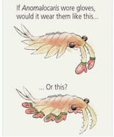 2-paleozoic-memes-about-hallucigenia-and-anomalocaris-v0-npaie7s6234c1