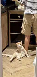 IMG_1445