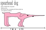 spearhead