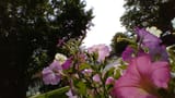 WIN_20210702_15_22_22_Pro (2)