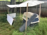 chicken_jail