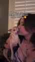 She smiles a little less now♡♡♡ chihuahua puppy puppies dog dogs_thumb.jpg