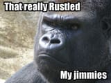 rustled