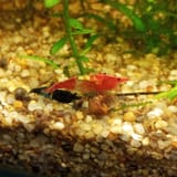 IMG_20250623_213442