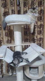IMG_20250623_215804