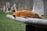 tired2