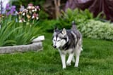 25-05-26-DSC_1937