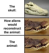 croco skull