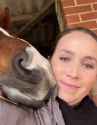shoulder equine_thumb.jpg
