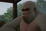 1630129937_Monke Concerns