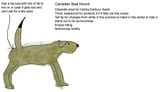 Seal Hound
