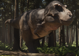 trex1