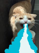 1000092095