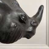 Rhino-2_300x300