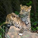 IMG_8653-SP