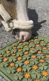 Snufflemat