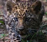 IMG_9055-SP