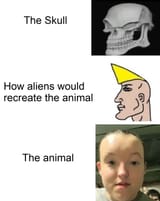Animal