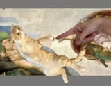 Creation of Jefrey with one F