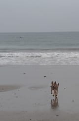IMG_20250628_071948