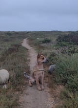 IMG_20250628_063543